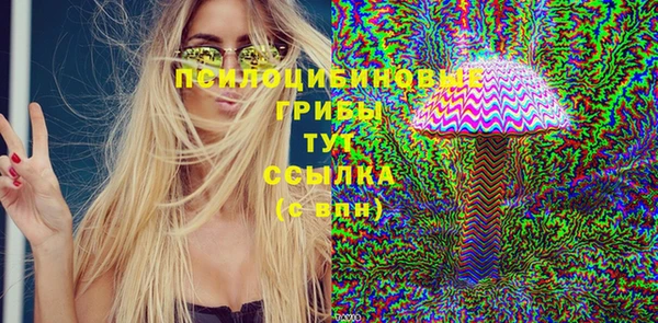 тгк Белокуриха